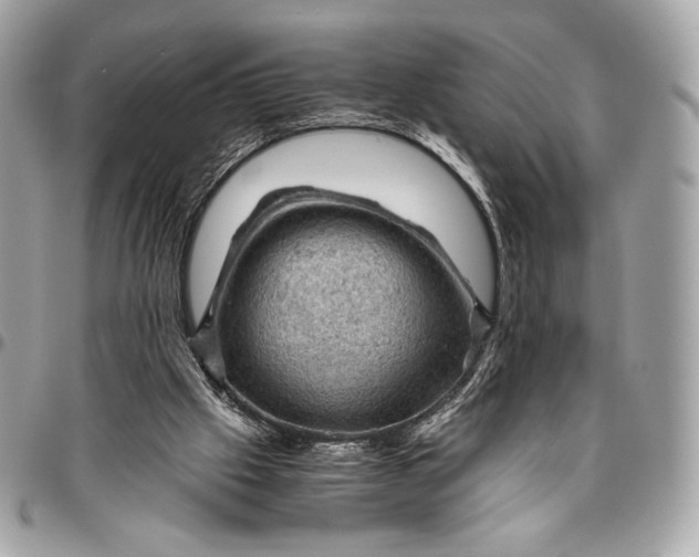 X0000096440057200802071758