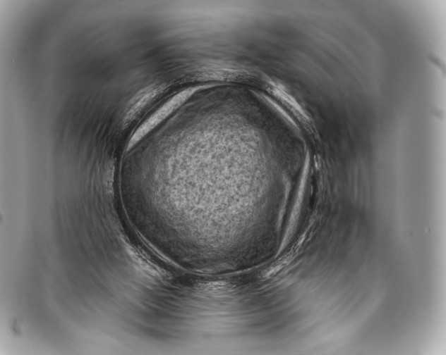 X0000096440058200802071758