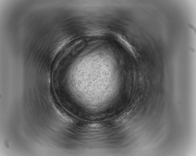 X0000096440059200802071758