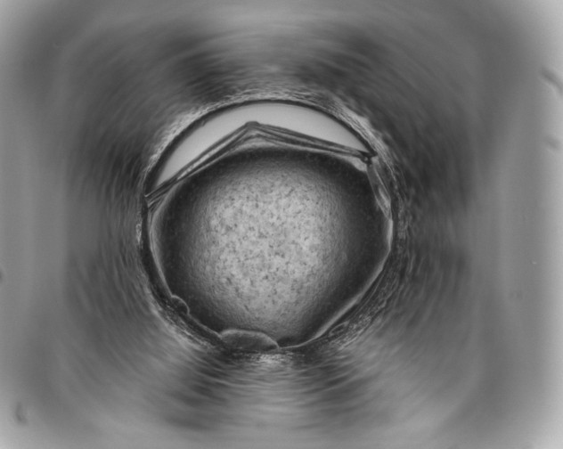 X0000096440060200802071758