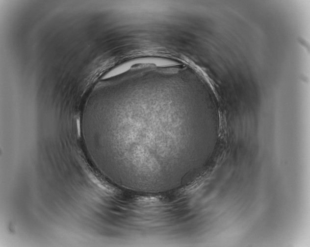 X0000096440061200802071758