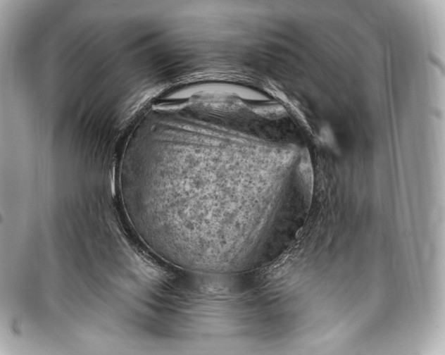 X0000096440062200802071758