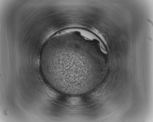 X0000096440063200802071758