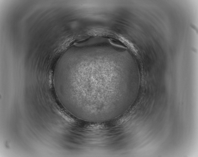 X0000096440065200802071758