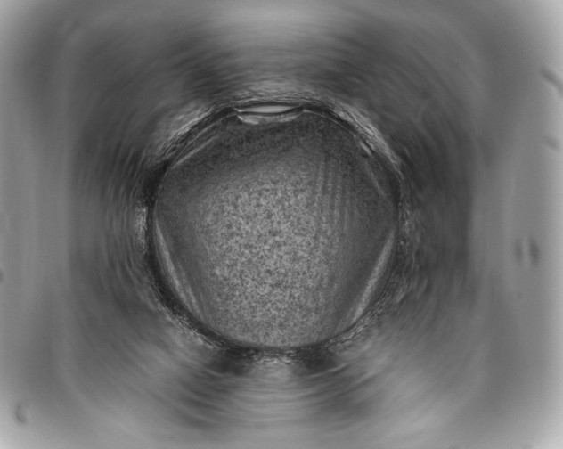 X0000096440066200802071758