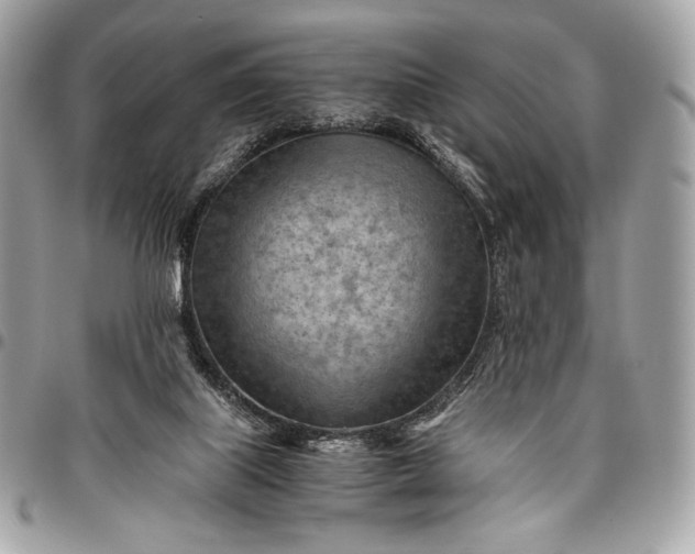 X0000096440067200802071758