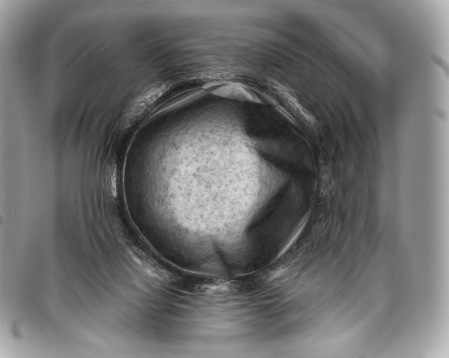 X0000096440068200802071758