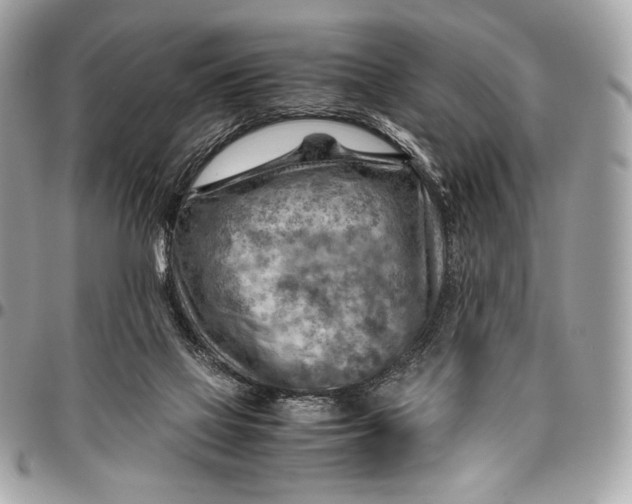 X0000096440069200802071758