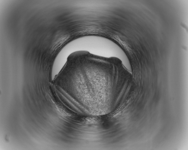 X0000096440070200802071758