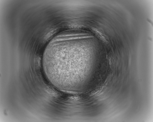 X0000096440071200802071758