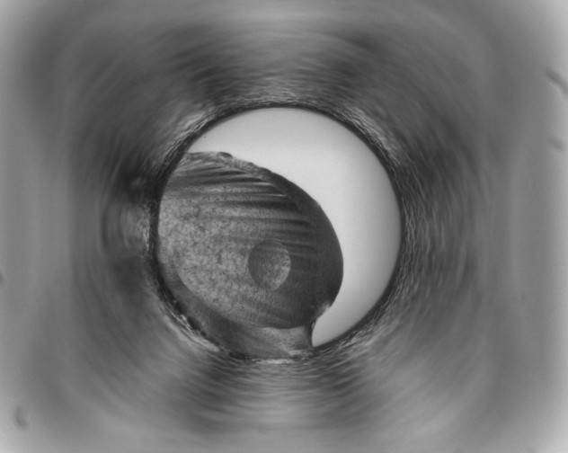 X0000096440072200802071758