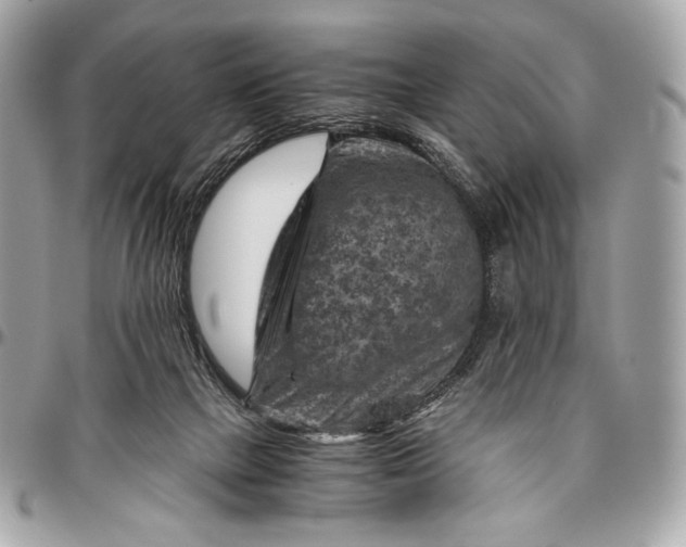 X0000096440073200802071758