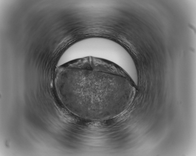 X0000096440074200802071758