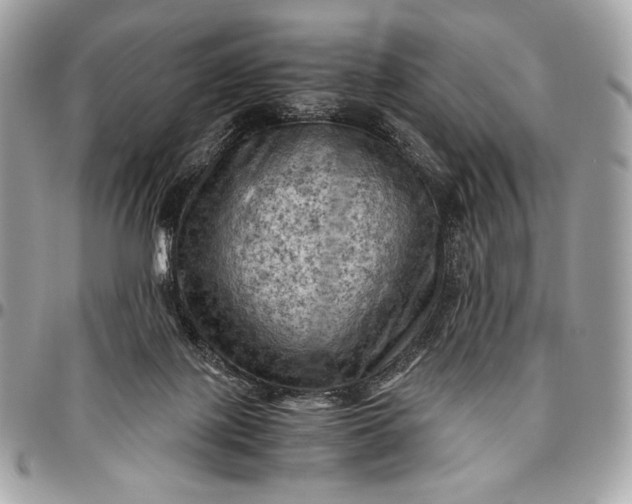 X0000096440075200802071758