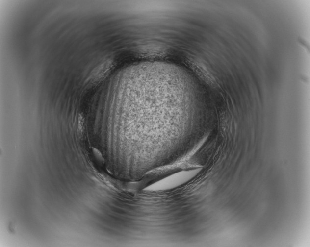 X0000096440077200802071758