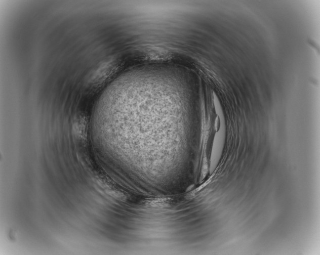 X0000096440078200802071758