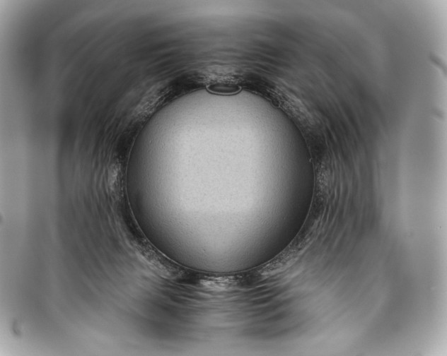 X0000096440079200802071758