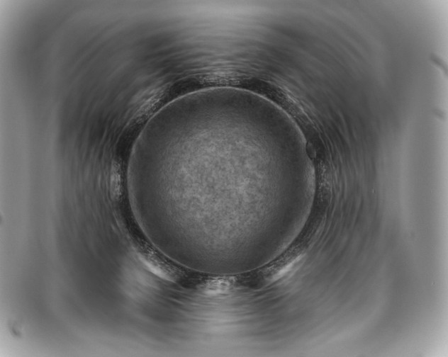 X0000096440080200802071758