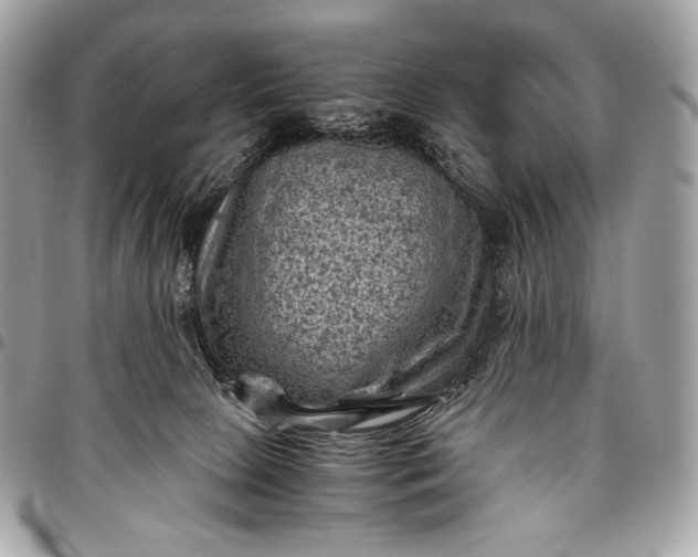 X0000096440081200802071758