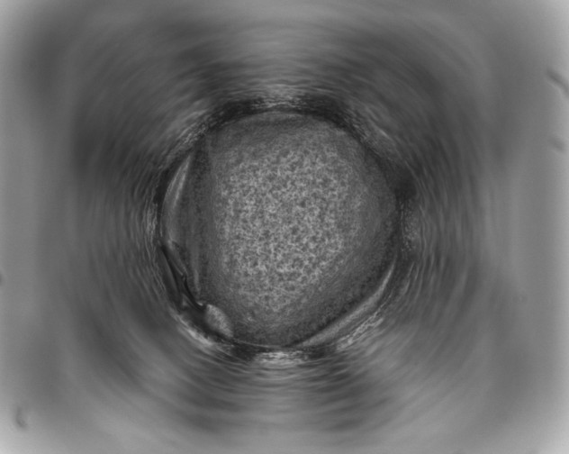 X0000096440082200802071758