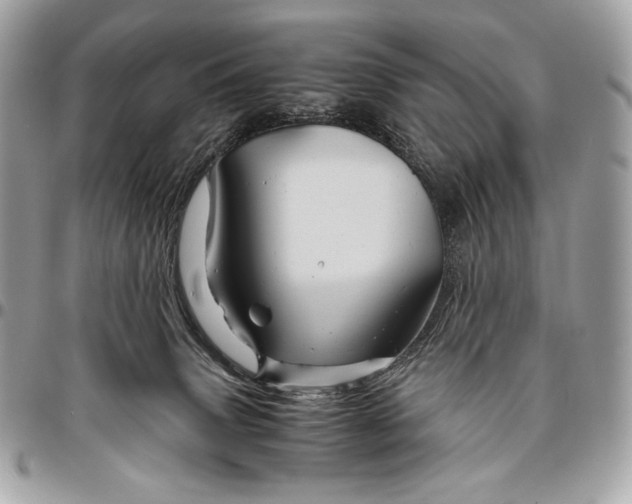 X0000096440083200802071758