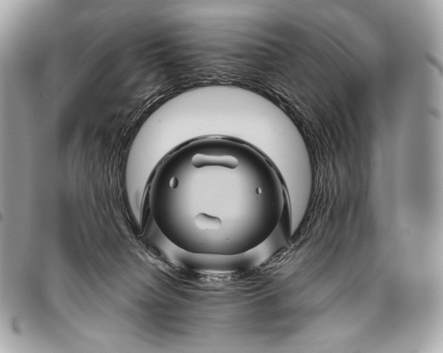 X0000096440084200802071758