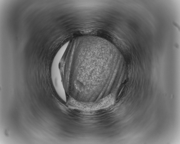 X0000096440085200802071758