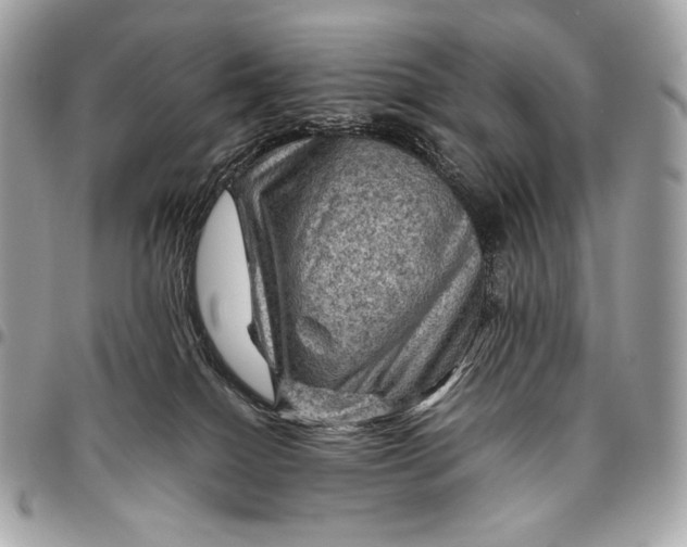 X0000096440086200802071758