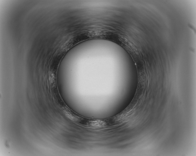 X0000096440087200802071758