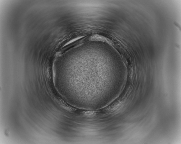 X0000096440088200802071758