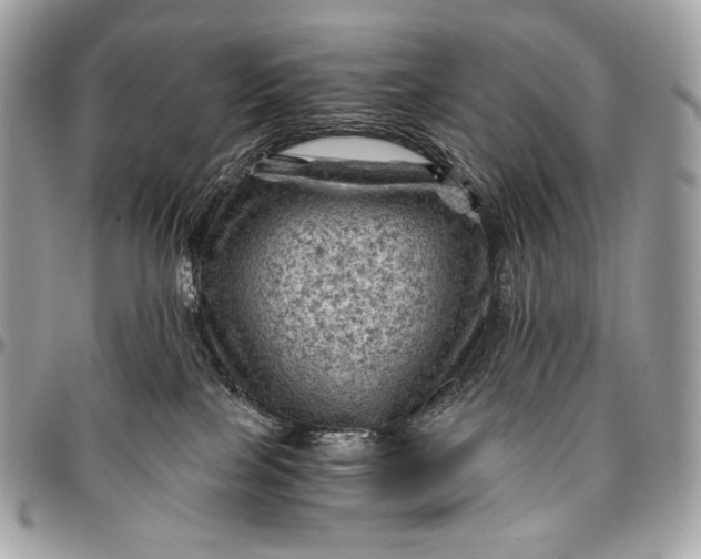 X0000096440089200802071758