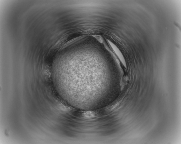 X0000096440091200802071758