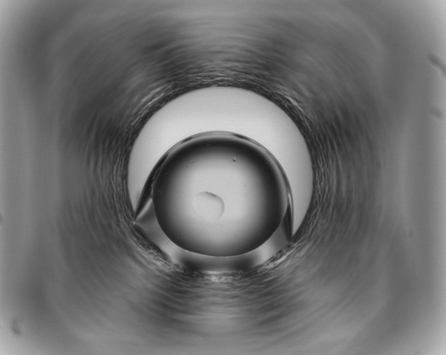 X0000096440092200802071758