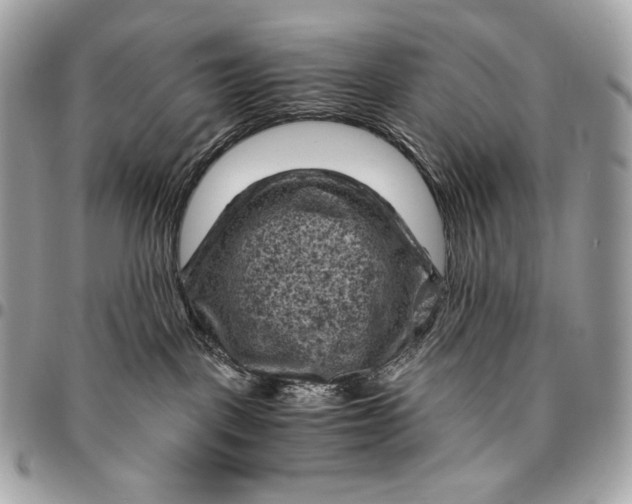 X0000096440093200802071758