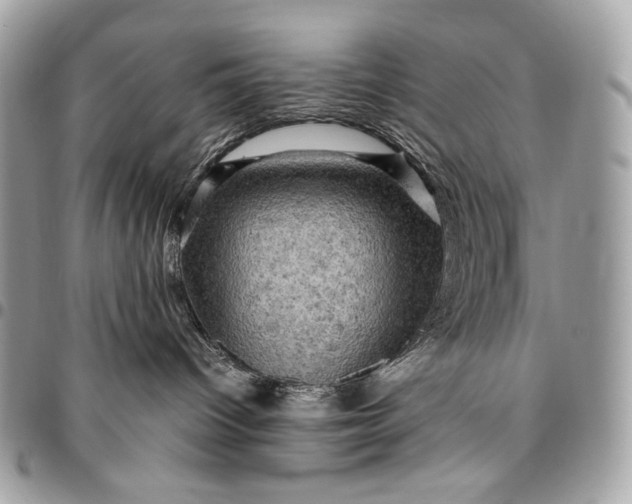 X0000096440096200802071758