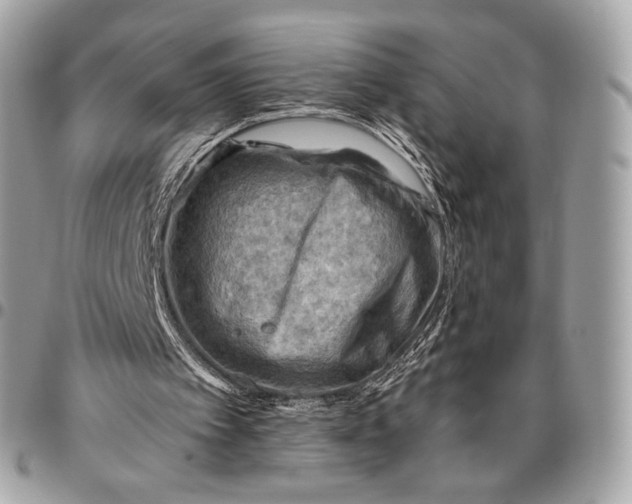 X0000096440097200802071758