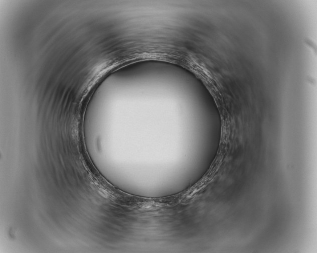 X0000096440098200802071757