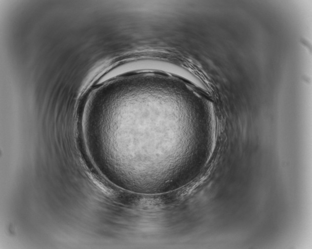 X0000096440101200802071757