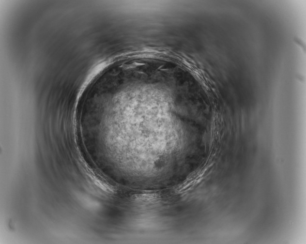 X0000096440102200802071757