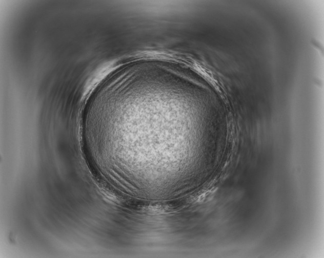 X0000096440103200802071757