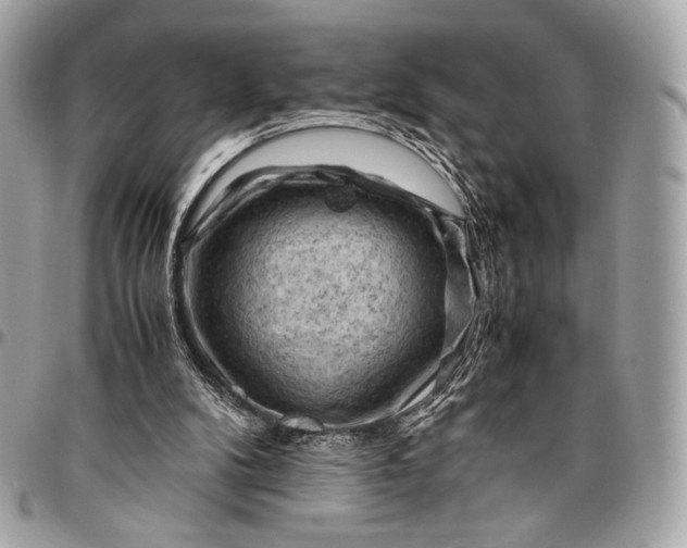 X0000096440104200802071757