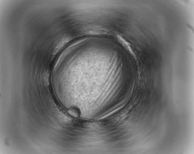 X0000096440106200802071757