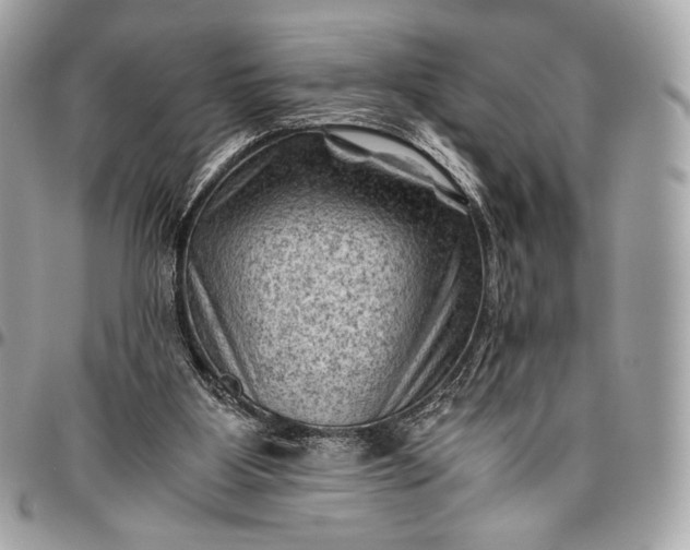 X0000096440107200802071757