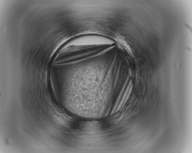 X0000096440108200802071757