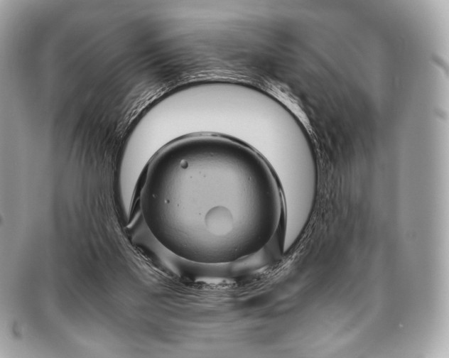 X0000096440109200802071757