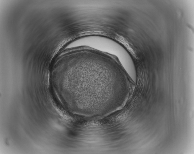 X0000096440110200802071757