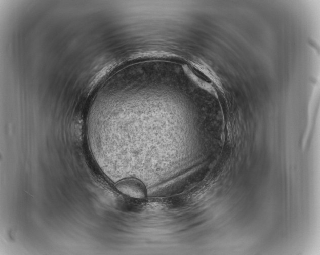 X0000096440111200802071757