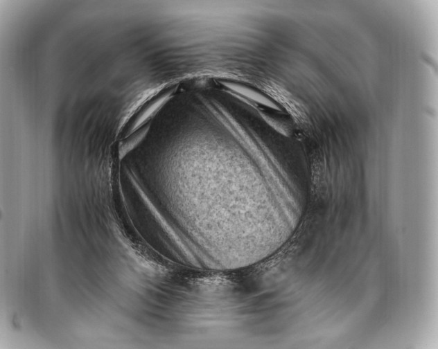 X0000096440112200802071757