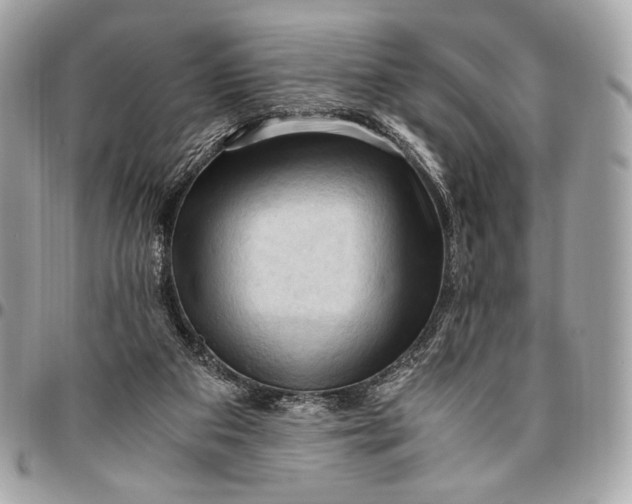 X0000096440113200802071757