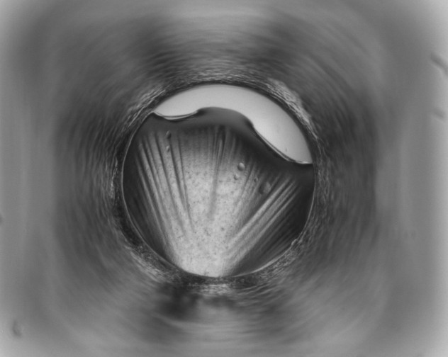 X0000096440114200802071757